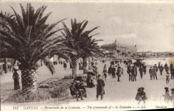 CPA Cannes Promenade de la Croisette 