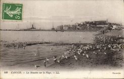 CPA Cannes Les Mouettes Sur La Plage