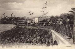 CPA Cannes Les Mouettes 