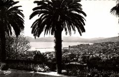CPM Cannes Vue Generale