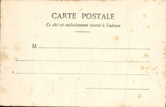 VINTAGE POSTCARD Cannes Pines of Bocca