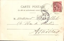 CPA Cannes Allee De Palmiers