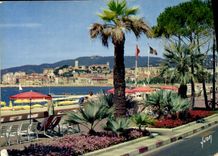 CPM Cannes Le Croisette et le Suquet