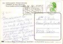 CPM Cannes Feux D'Artifice Sur la Croisette