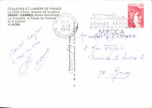 MODERN CARD Cannes the Small cross the Palate of the Festival