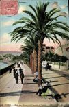 VINTAGE POSTCARD Cannes Gone of the Palm trees the Small cross