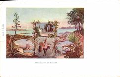 VINTAGE POSTCARD Cannes Walk Ass Mule