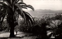CPA Cannes Vue Generale