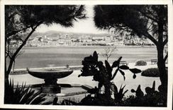 VINTAGE POSTCARD Cannes Seen from of the new gardens