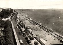 VINTAGE POSTCARD Cannes the Beach of the South