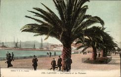 CPA Cannes La Croisette et les Palmiers