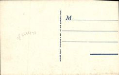 CPA Cannes Vue Generale et L'Esterel