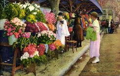CPA Cannes Le marche aux fleurs 