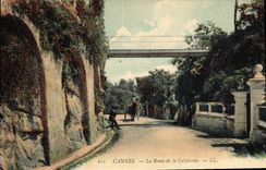 CPA Cannes La Route de la Californie