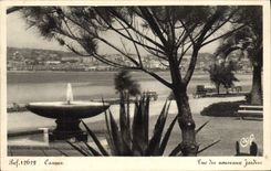 VINTAGE POSTCARD Cannes Seen of the new Gardens
