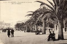 VINTAGE POSTCARD Cannes Walk of the Gone Small cross of Palm trees