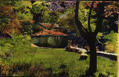 CPA Les Gorges du Loup La Chapelle de St Arnoux 