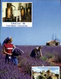 CPM Grasse Parfumerie Fragonard