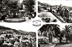 CPM Souvenir de Grasse