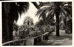 Esquina grasa de Parfumee de la POSTAL de la VENDIMIA del parque