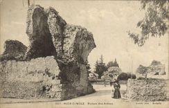 Ruinas de Cimiez de la POSTAL de la VENDIMIA Niza de la arena