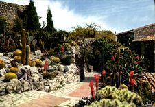 CPM Eze Village Le Jardin Exotique Cactus