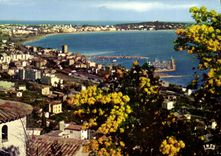 CPA Golfe Juan Vue generale 