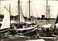 CPM Golfe Juan Le Port Bateaux