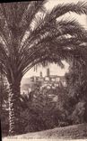 CPA Grasse Vue prise a travers les palmiers du grand hotel