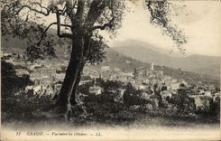 CPA Grasse Vue entre les Oliviers 