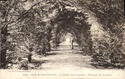 VINTAGE POSTCARD Island Honorat Saint the alley of the cypresses Abbey of Lerins