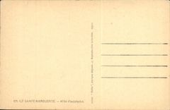 CPA lle Ste Marguerite Allee d'eucalyptus