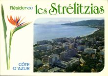 CPM Residence les Strelitzias Rue Pauline Juan les Pins 