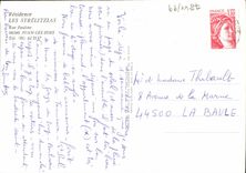 POSTAL MODERNA pinos de Paulina Juan de la calle de los Strelitzias de la residencia