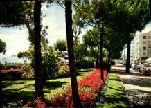 CPM Juan les Pins Le Jardin 