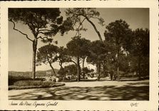 VINTAGE POSTCARD Juan the Pines Gould Public garden