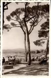 CPA Juan les Pins La Plage de la Pinede 