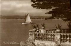 Pinos de Juan de la POSTAL de la VENDIMIA vista del d Antibes del cabo