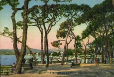 Pinos de Juan de la POSTAL de la VENDIMIA debajo de los pinos marítimos