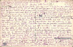 Pinos de Juan de la POSTAL de la VENDIMIA debajo de los pinos marítimos