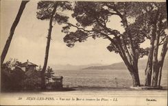 Pinos de Juan de la POSTAL de la VENDIMIA vistos en el mar a través de los pinos