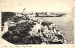 POSTAL Juan de la VENDIMIA el d Antibes del cabo de los pinos el punto del cabo