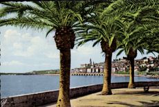 CPM Menton Vue Prise de Garavan