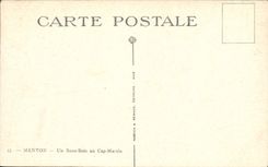 CPA Menton Un Sous Bois au Cap Martin