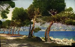 CPA Menton Vue Prise Du Cap Martin