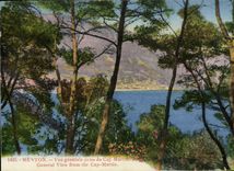 CPA Menton Vue Generale Prise du Cap Martin