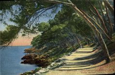 CPA Menton Sous bois au Cap Martin 