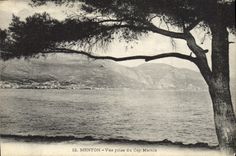 CPA Menton Vue Prise Du Cap Martin