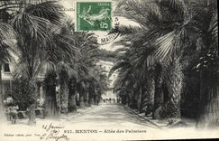 CPA Menton Allee Des Palmiers