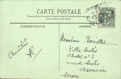 CPA Menton Une Allee De Palmiers